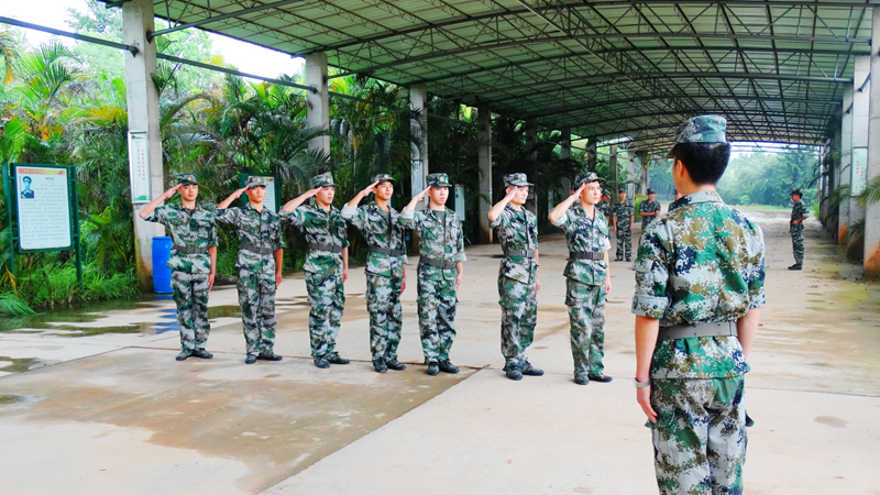 �������Iϴ�C���v���T����С�W���|��������